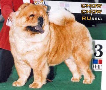 Chow-chow MI-PAO'S CANADIAN MISSY. - -  