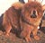 - chow-chow