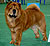÷àó-÷àó chow-chow