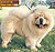 чау-чау chow-chow