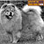 - chow-chow