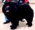 - chow-chow