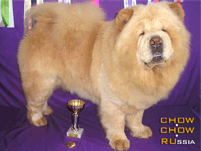 Chow-chow BIS LAC THANK YOU CREAM. -    .