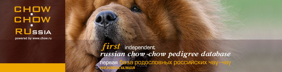         -.  :    . Chow-chow pedigree database. Golden Maer Grand Son.