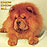 ���-��� chow-chow