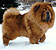 - chow-chow